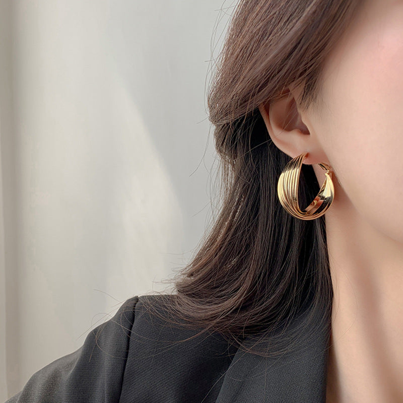 New Ins Style Temperament Net Red Earrings European And American Exaggerated Big Earrings