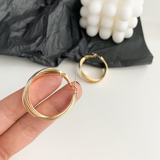 New Ins Style Temperament Net Red Earrings European And American Exaggerated Big Earrings