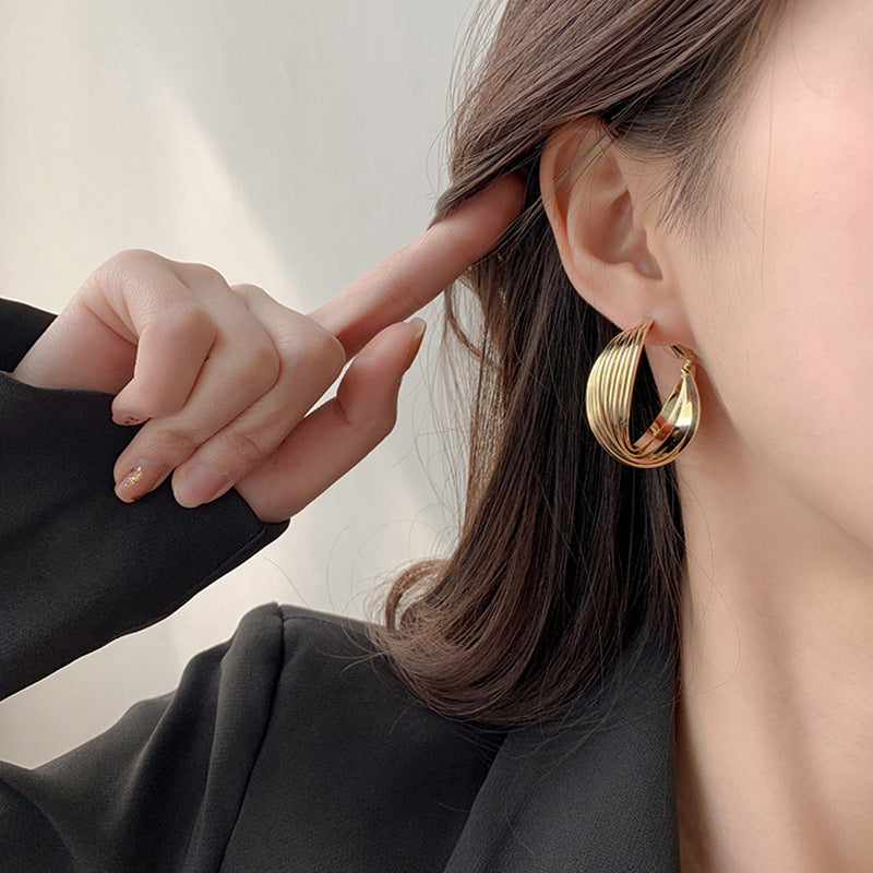 New Ins Style Temperament Net Red Earrings European And American Exaggerated Big Earrings