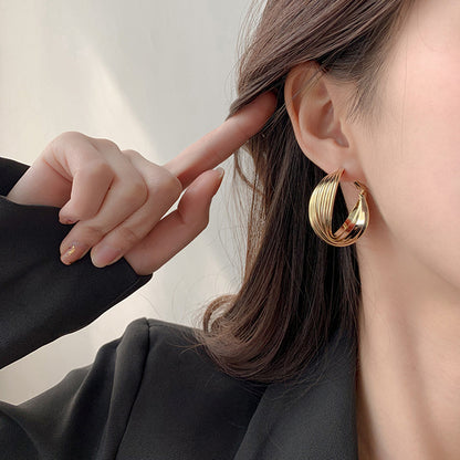 New Ins Style Temperament Net Red Earrings European And American Exaggerated Big Earrings