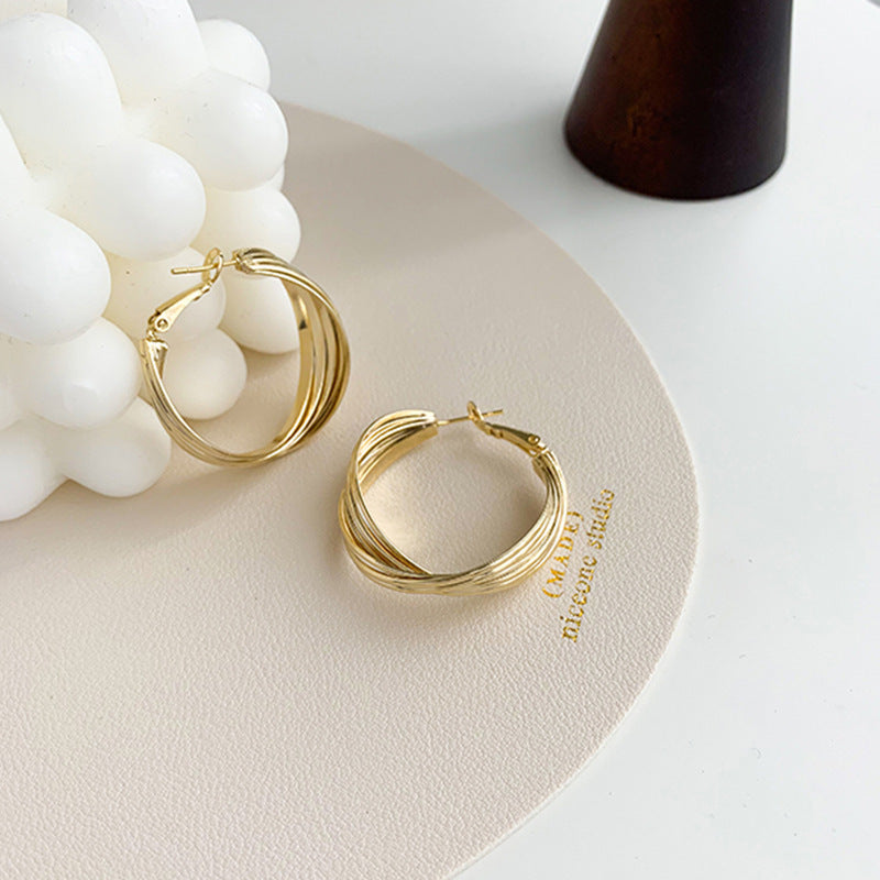 New Ins Style Temperament Net Red Earrings European And American Exaggerated Big Earrings