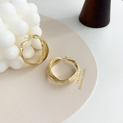 New Ins Style Temperament Net Red Earrings European And American Exaggerated Big Earrings