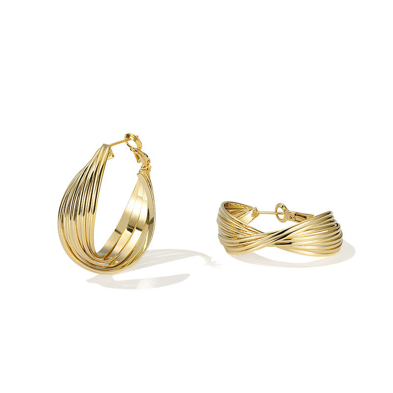 New Ins Style Temperament Net Red Earrings European And American Exaggerated Big Earrings