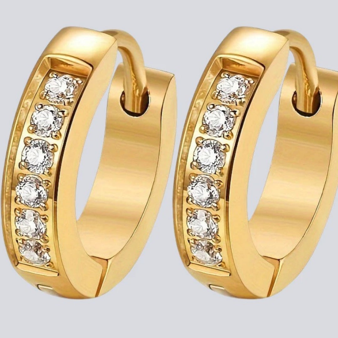 أقراط هاوشي العصرية المصنوعة من الفولاذ التيتانيوم للنساء