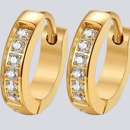 Female Leisure Haoshi Fashionable Titanium Steel Earrings